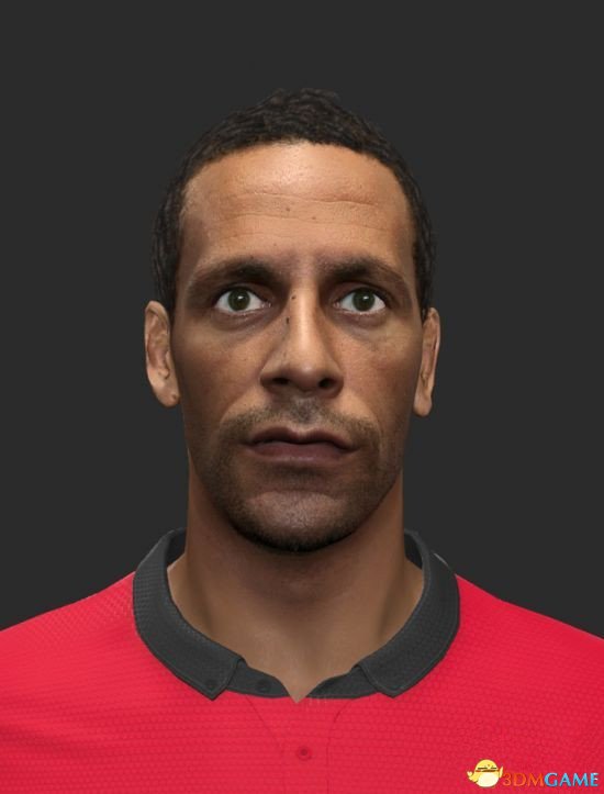 实况足球2014 费迪南德面补下载_实况足球20